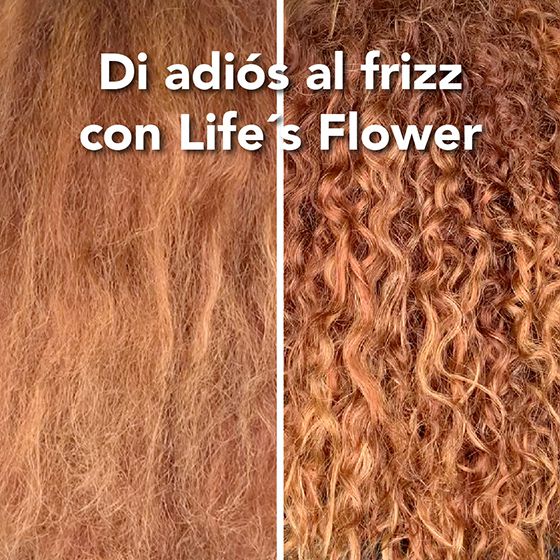 Tratamiento Antifrizz Life´s Flower